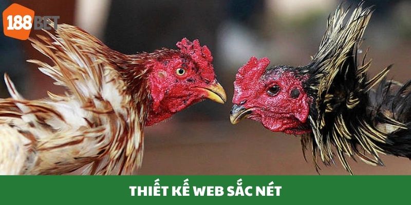 Trang Web có thiết kế bắt mắt